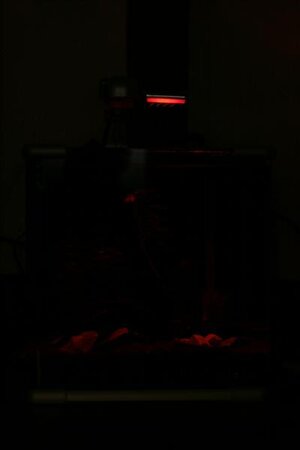 IMG_9790.JPG