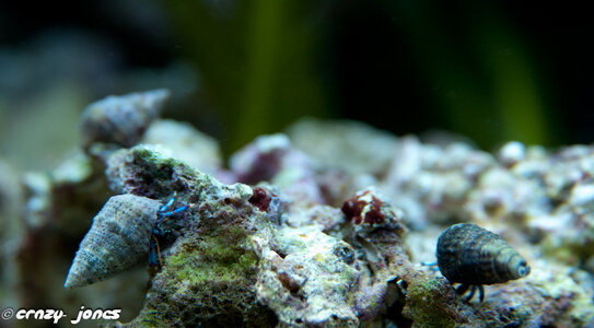 DSC_3484.JPG