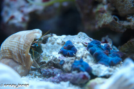 DSC_3412.JPG