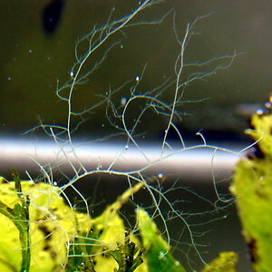 _0011111.JPG