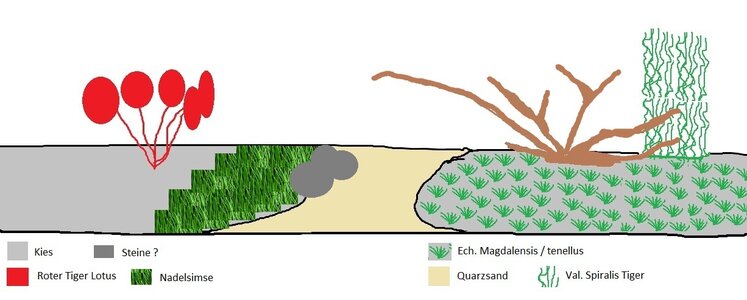 layout.jpg