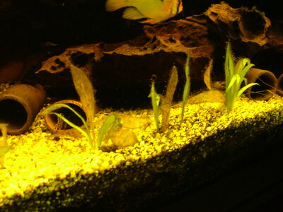 DSCF1238.JPG