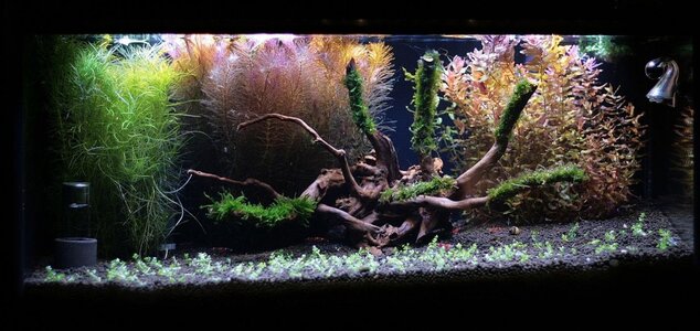 Waterhome54.jpg