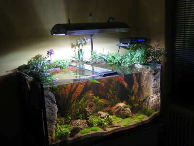 aqua 450l 006.jpg