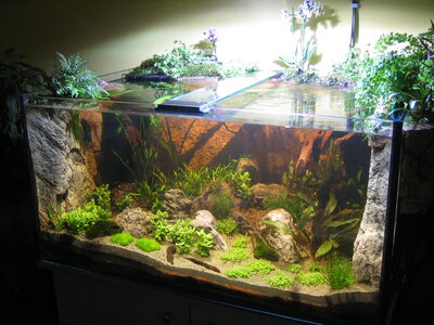 aqua 450l 007.jpg