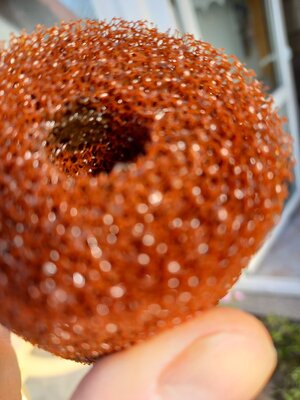 20201113_122054[1].jpg
