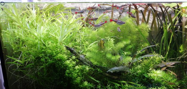 IMG-20201202-WA0130.jpeg