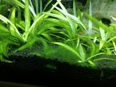 IMG_20201115_210133.jpg
