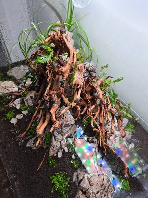20201208_135119.jpg 20201208_135119.jpg