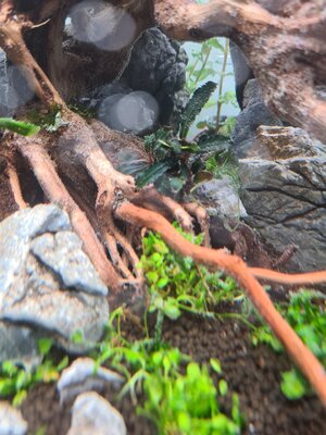 20201208_171918.jpg 20201208_171918.jpg