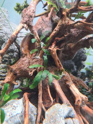 20201208_171932.jpg 20201208_171932.jpg