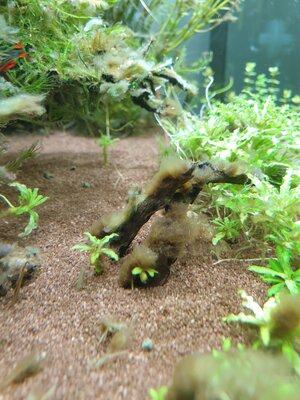 20201210_175115.jpg
