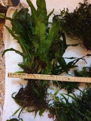 20201227_130535.jpg 20201227_130535.jpg