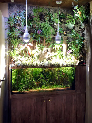 paludarium.jpg