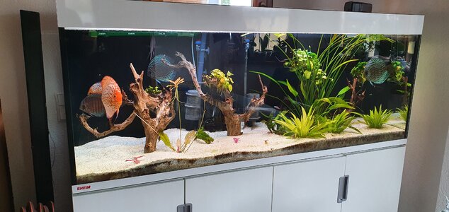 20201225_122434.jpg