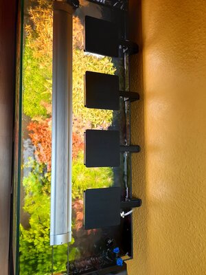 20201015_134935.jpg