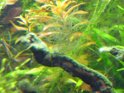 P1010490.JPG