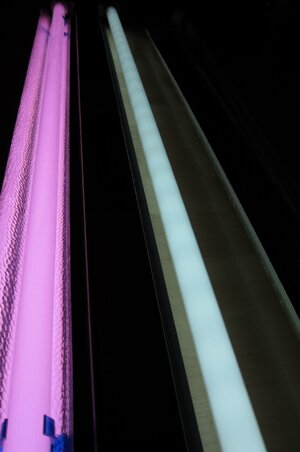 IMG_0487.JPG