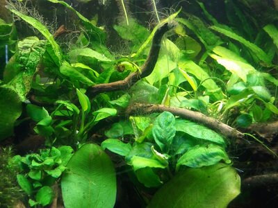 2010-12-09 16.20.24.jpg
