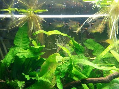 2010-12-09 16.20.32.jpg