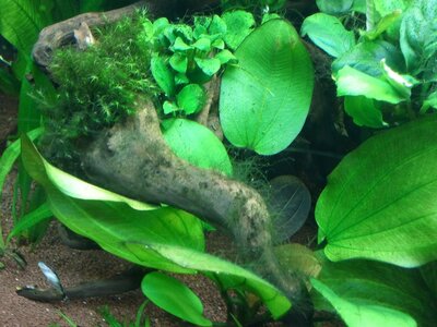 2010-12-09 16.20.51.jpg