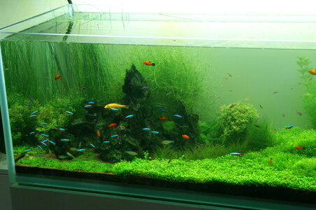 PICT0474.JPG