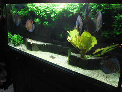 P1_19_12_10.JPG