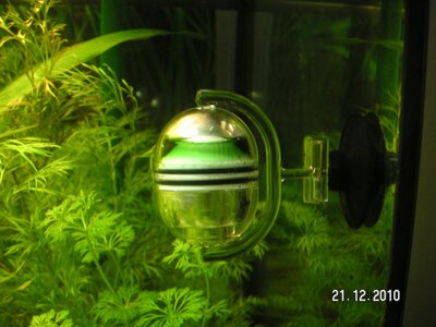 PICT0524.JPG