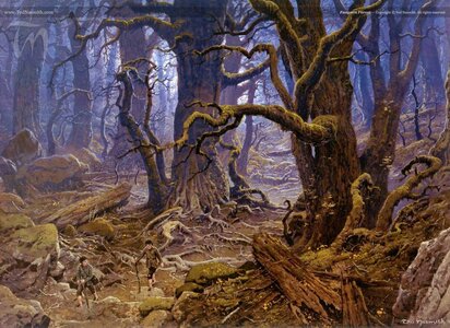 Fangorn_Forest.jpg
