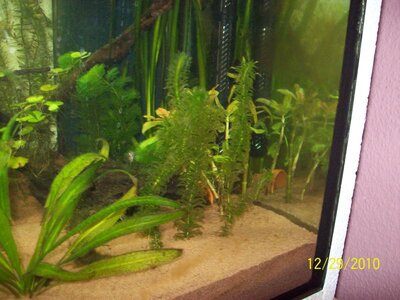 100_0234.jpg