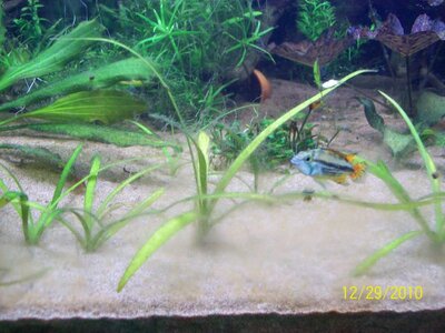 100_0236.jpg