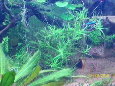 100_0240.jpg
