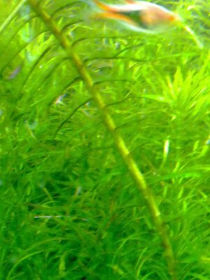 29122010122.JPG
