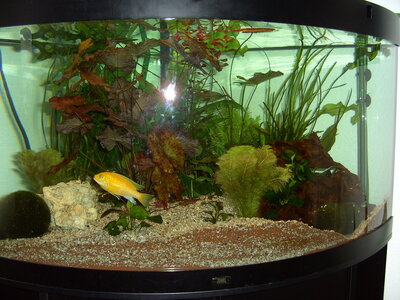 PICT0256.JPG