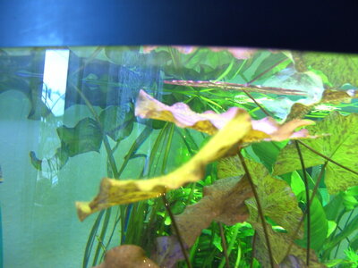 PICT02.JPG
