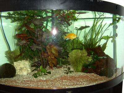 PICT0254.JPG