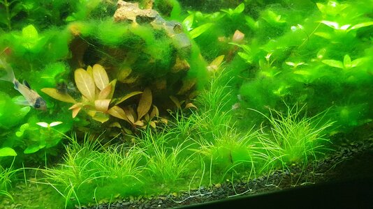 20210404_124356.jpg