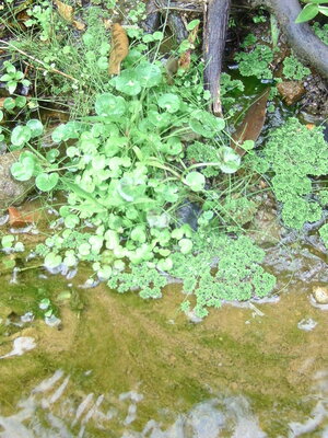 BILD0183.jpg