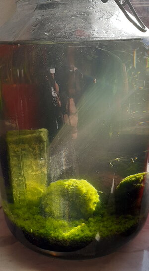 EA 2020 08 0001.jpg