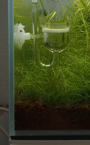 glasgarten.jpg