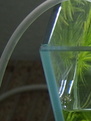 glasgarten2.jpg