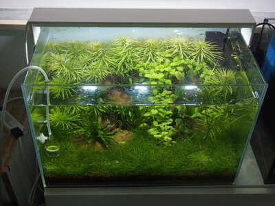 glasgarten1.jpg