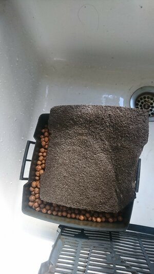 IMG-20210922-WA0002.jpeg
