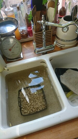 IMG-20210922-WA0010.jpeg
