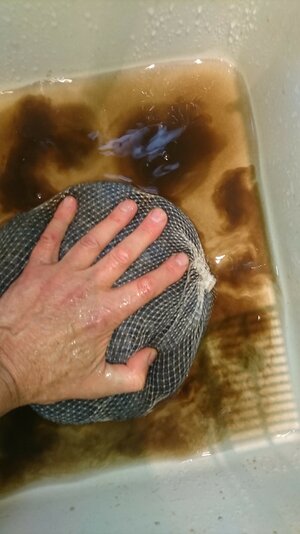 IMG-20211021-WA0023.jpeg