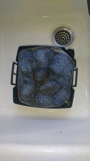 IMG-20211021-WA0019.jpeg