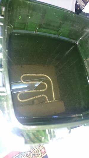 IMG-20211021-WA0015.jpeg