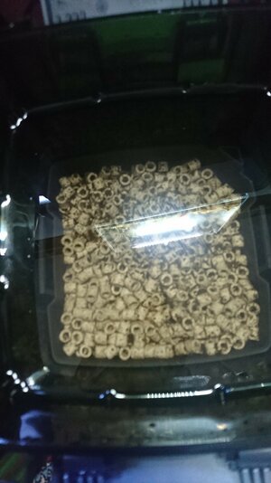 IMG-20211021-WA0010.jpeg