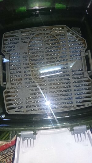 IMG-20211021-WA0008.jpeg