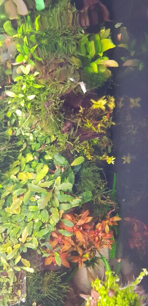 20211105_194838.jpg